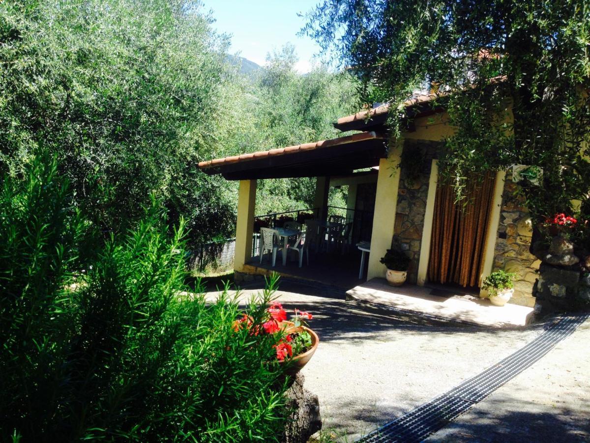 Casa Vacanze Uliveto Bordighera Eksteriør bilde